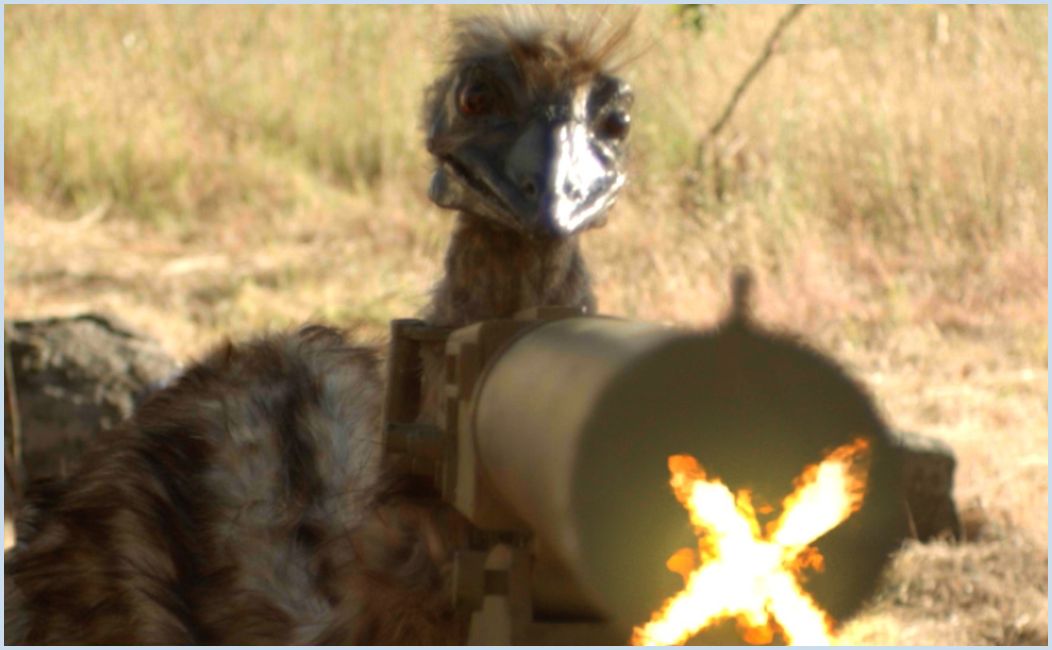 The Emu War