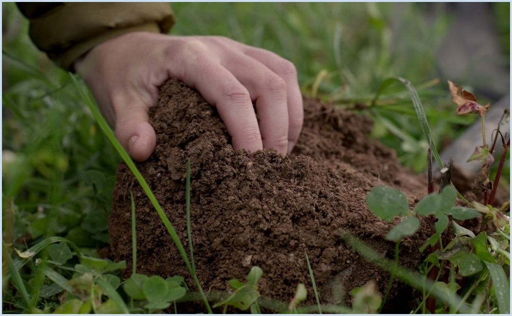 Six Inches Of Soil