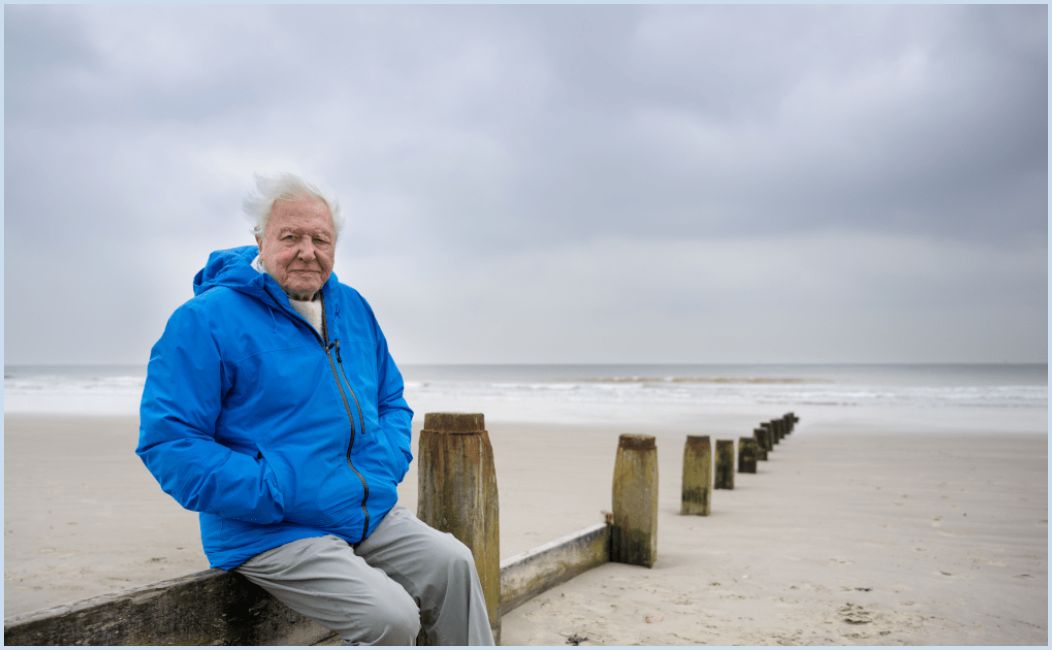 Ocean With David Attenborough