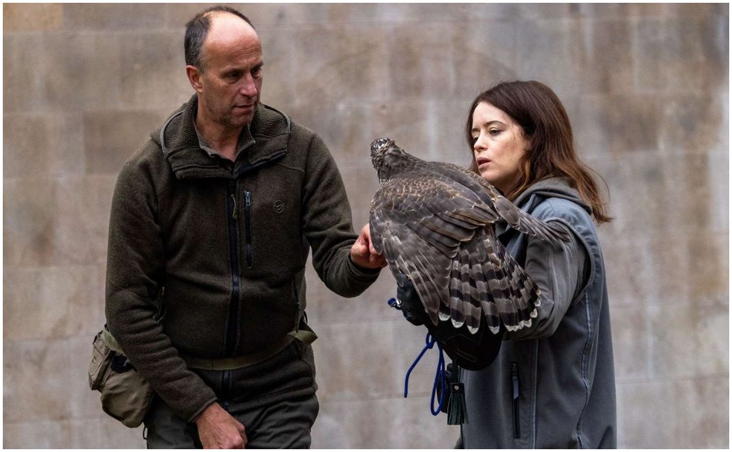 H Is For Hawk